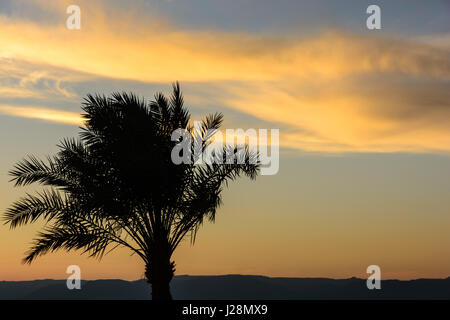 Giordania, Aqaba Gouvernement, Aqaba, Aqaba Giordania è l'unico accesso al Mare Rosso Foto Stock