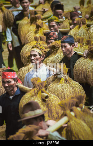 Anziani della comunità tradizionale che trasportano grappoli di riso raccolto durante il festival annuale di ringraziamento del raccolto in Indonesia. Foto Stock