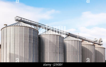 Silos agricoli. Esterno dell'edificio. Stoccaggio ed essiccazione di grani, frumento, mais, soia, girasole contro il cielo blu con nuvole bianche Foto Stock
