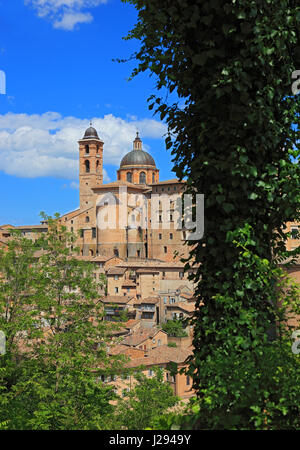 Vista di Urbino con il Palazzo Ducale e il Palazzo Ducale e la Cattedrale, Marche, Italia Foto Stock