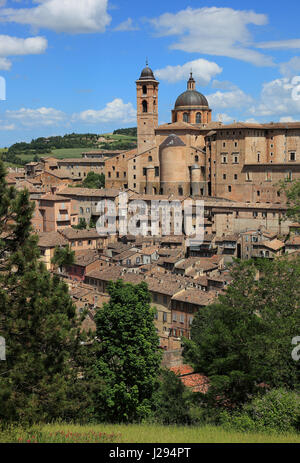 Vista di Urbino con il Palazzo Ducale e il Palazzo Ducale e la Cattedrale, Marche, Italia Foto Stock