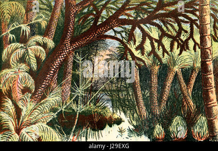 Una foresta dal Carbonifero era. Dal mondo delle fondazioni o la Geologia per principianti, pubblicato 1883. Foto Stock