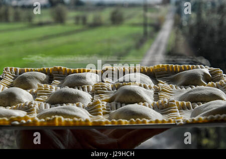 Pasta fatta in casa con ripieno di ricotta e spinaci Foto Stock