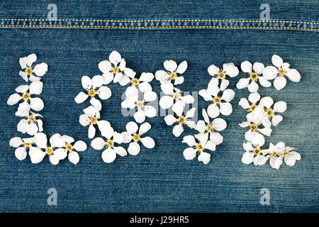 La parola amore fatta da fiori su texture jeans Foto Stock