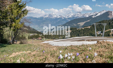 Swiss bellissimo scenario di montagna con montagne innevate Foto Stock