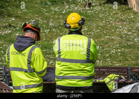 Cormac lavoratori indumenti da lavoro di sicurezza indumenti da lavoro protettiva di Arboricoltura team esterno di supervisione Hi-viz workwear Foto Stock