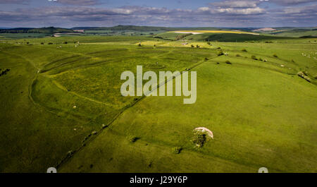 Vista aerea dell'Età del Ferro promontorio fort Whitesheet sulla collina vicino a mera, Wiltshire, Regno Unito Foto Stock