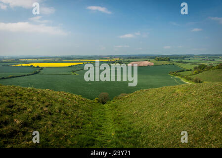 Età del ferro e lavori di sterro sul Whitesheet collina vicino a mera, Wiltshire, Regno Unito Foto Stock