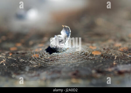 Macro shot di fori di proiettile dopo un tiro al bersaglio in una vaschetta di alluminio. Foto Stock