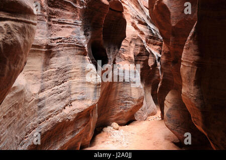 Slot canyon al filo Pass Gulch daino Foto Stock