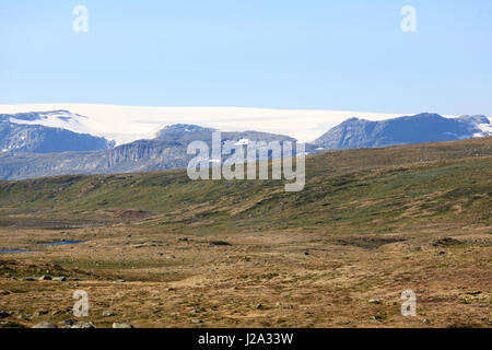 Tipico paesaggio a Hardangervidda, Norvegia. Foto Stock