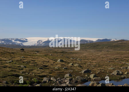 Tipico paesaggio a Hardangervidda, Norvegia. Foto Stock