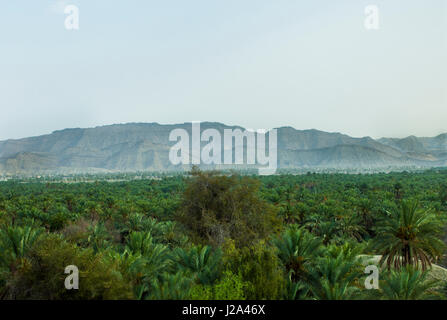 Pinna città di Bandar Abbas città in provincia di Hormozgan hanno un sacco di palme intorno di case e città.IRAN Foto Stock