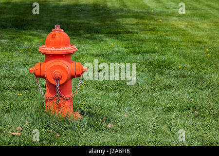 Arancio brillante idrante di fuoco in erba Foto Stock