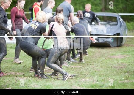 Immagine editoriale di concorrenti della forte Viking eseguire corsa ad ostacoli a Gent, in Belgio il 22 aprile e 23 2017 Foto Stock