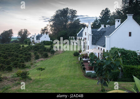 Africa, Tanzania, piantagione di caffè valutazione Foto Stock