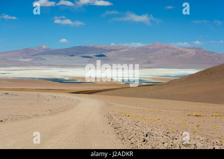 Bolivia, Departamento de Potosí, Sur Lípez, Sud Africa safari in jeep Foto Stock