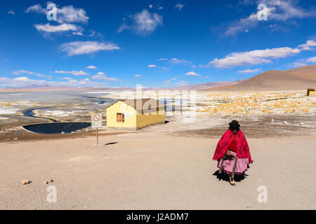 Bolivia, Departamento de Potosí, Sur Lípez, piscina termale Foto Stock