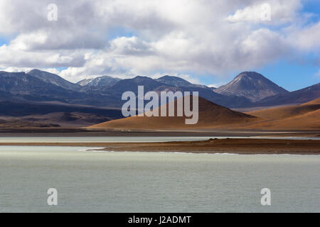 Bolivia, Departamento de Potosí, Sur Lípez, Laguna Blanca Foto Stock