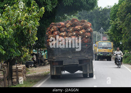 Indonesia, Sumatera Utara, Kabul Langkat, scene di strada Foto Stock