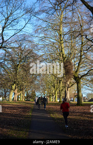 Park a Northampton Foto Stock