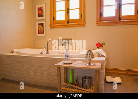 Vasca da bagno e piccolo tavolo in legno nel bagno principale all'interno di un registro impilati home Foto Stock