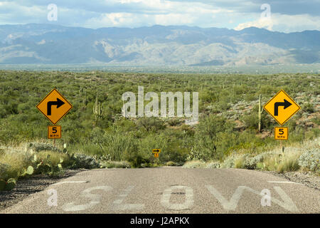 Strada attraverso il parco nazionale del Saguaro East, Tucson, Arizona, Stati Uniti Foto Stock