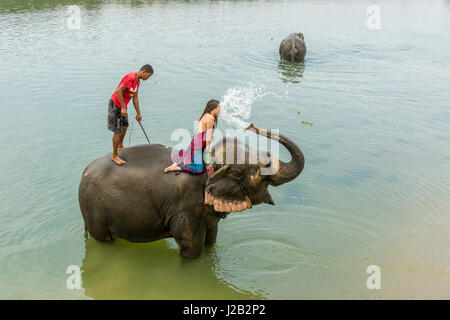 Un elefante (Elephas maximus indicus) è gli spruzzi di acqua su un turista donna nel fiume rapti in Chitwan il parco nazionale Foto Stock