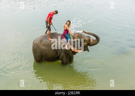 Un elefante (Elephas maximus indicus) è gli spruzzi di acqua su un turista donna nel fiume rapti in Chitwan il parco nazionale Foto Stock