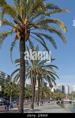 Lungomare di Palma de Mallorca, Spagna Foto Stock