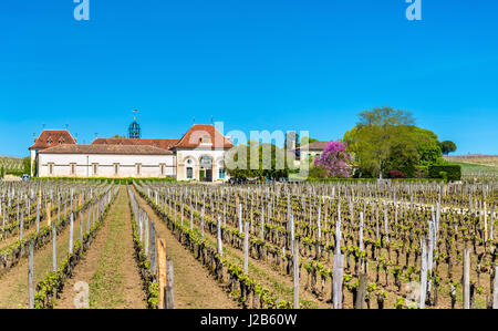 Vigneti vicino a Saint Emilion - Francia, Gironde, Aquitaine Foto Stock