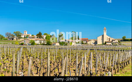 Vigneti vicino a Saint Emilion - Francia, Gironde, Aquitaine Foto Stock