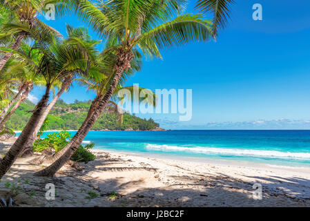 Incredibile Anse Intendance beach, Isola di Mahe, Seychelles. Foto Stock