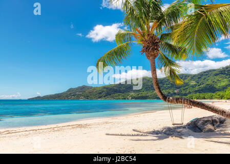 Vista sul sorprendente Beau Vallon beach con noce di cocco Palm tree sull'isola di Mahe e le Seicelle. Foto Stock