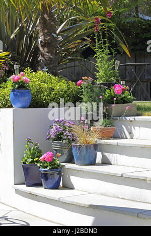 Si abbassa decorativo in vasi di stand sul patio passi in una Londra sud garden, REGNO UNITO Foto Stock