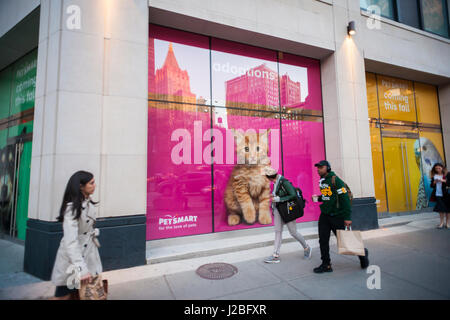 Il futuro in casa di un Petsmart pet store di alimentazione nel quartiere Flatiron di New York martedì 18 aprile, 2017. Petsmart ha deciso di acquisire l'e-commerce Chewy.com rivenditore per una somma segrete. L'acquisizione aumenta mattone-e-mortaio Petsmart la presenza online. (© Richard B. Levine) Foto Stock