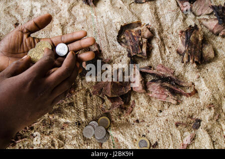 La carne di animali selvatici, Western blue duiker (Philantomba congica), mercato Mbomo, Strada Brazzaville di Mbomo (N2), Repubblica Democratica del Congo Foto Stock