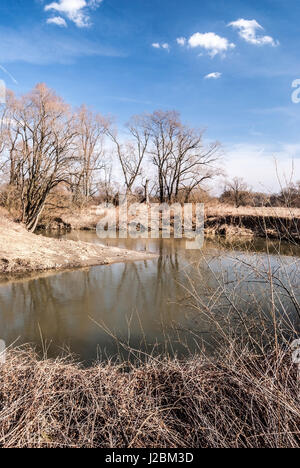 Meandro del fiume Odra con alberi e cielo blu con nuvole in primavera chko poodri vicino studenka città in Repubblica ceca Foto Stock