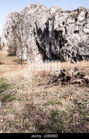 Dolomitian rock con bella vista pieghe, prato, albero isolato e cielo chiaro nella primavera palava montagne in Moravia del sud in Repubblica ceca Foto Stock