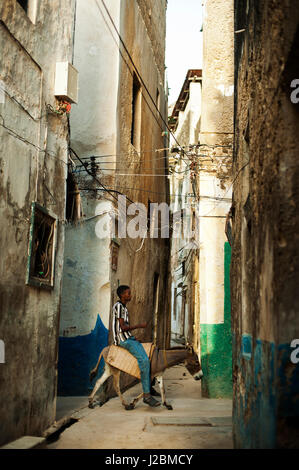 Il Kenya, l'arcipelago di Lamu, Lamu, uomo su Donkey nella tradizionale strada stretta Foto Stock