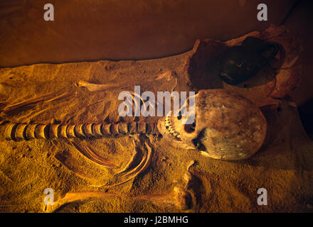 Italia Abruzzo Loreto Aprutino ( PE ) Antiquarium -scheletri femmina da Farina Cardito - VII secolo inizio del VI secolo A.C. Foto Stock
