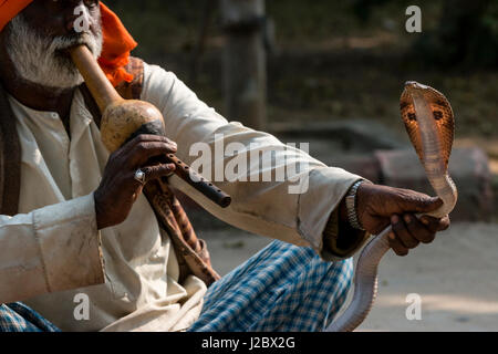 Il serpente incantatore. Villaggio. Fatehpur Sikri. Bharatpur. Il Rajasthan. India. Foto Stock