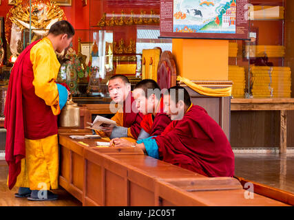 I monaci che studiano al monastero Gandan, Mongolia la più grande monastero di funzionamento, Mongolia, d Ulaanbaatar Foto Stock