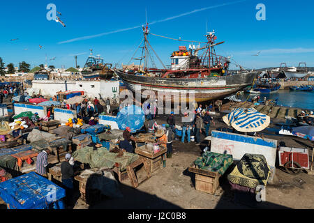 Essaouira, Marocco - 15 Aprile 2015: Persone nel porto di pesca della Medina di Essaouira nella costa atlantica del Marocco, Africa settentrionale. Foto Stock