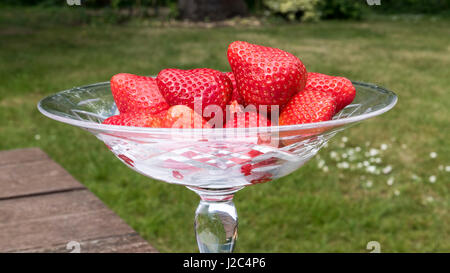 Coppa di fragole gustose in un giardino estivo ! Foto Stock