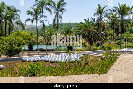 Giardino di narciso da Yayoi Kusama al pubblico Inhotim Museo d Arte Contemporanea - Brumadinho, Minas Gerais, Brasile Foto Stock