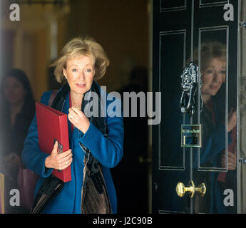 Andrea Leadsom,il Ministro di Stato per l'ambiente,l'alimentazione e gli affari rurali arriva al 10 di Downing Street per una riunione del gabinetto Foto Stock