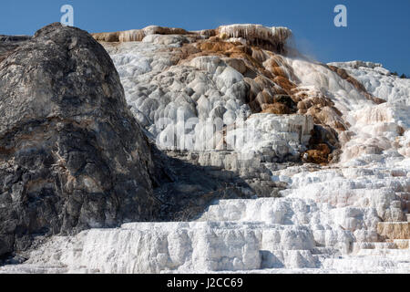 Terrazze di travertino, hot springs, depositi minerali, Palette molla inferiore, terrazze, Mammoth Hot Springs Foto Stock