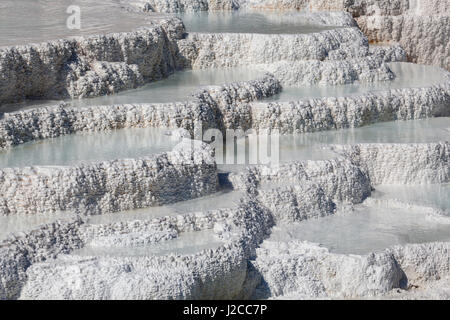 Terrazze di travertino, hot springs, depositi minerali, Palette molla inferiore, terrazze, Mammoth Hot Springs Foto Stock