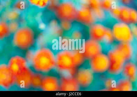 Bella astratta sfondo floreale con rosa boccioli di fiori e luci sfocati. Il design di confine in rosa e verde Foto Stock